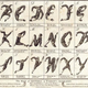 Illustration for article titled Youve never seen the ABCs look this bizarre and wonderful